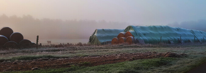 Landschaft im Winter mit Nebel