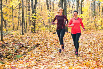 The Two running woman jogging in autumn nature