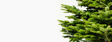 Clean Christmas Tree Detail