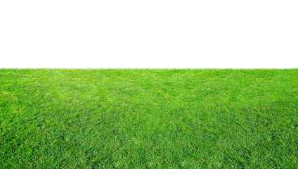 Green grass meadow field from outdoor park isolated in white background with clipping path. Outdoor countryside meadow nature. Landscape of grass field in public park.