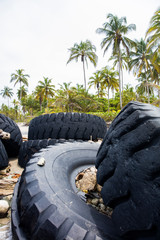 Wall Mural - Used truck wheels in the tropical forest