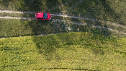 Car drives on the road between two big fields with green wheat. Agriculture landscape.