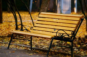 Poster - bench in autumn park