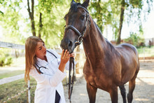 Checking Mouth. Female Vet Examining Horse Outdoors At The Farm At Daytime