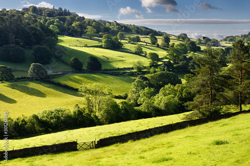 Fotografía Bright green pastureland for cows and sheep in morning sunlight with drystone fe