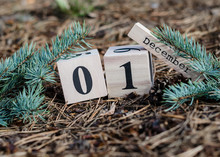  1 December. Date On Wooden Cube Calendar 