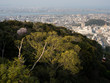 Panoramic view of Tokushima city from the top of Mount Bizan at sunset