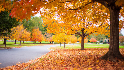 fort mill sc fall colors