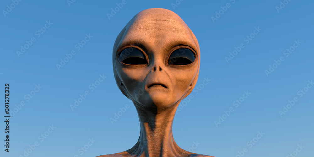 Grey Alien extremely detailed and realistic high resolution 3d illustration of an extraterrestrial being - obrazy, fototapety, plakaty 