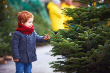 Happy Curious Little Boy Touching The Needles On Spruce At The Christmas Tree Market For Winter Holidays