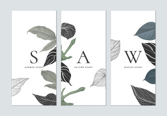 Wall Mural - Set of botanical brochure cover template design, collage of various leaves on white