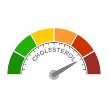 Cholesterol Meter Read High Level Result. Color Scale With Arrow From Red To Green. The Measuring Device Icon. Vector Illustration In Flat Style. Colorful Infographic Gauge Element