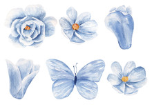 Blue Flowers And Butterfly Watercolor Raster Illustration Set