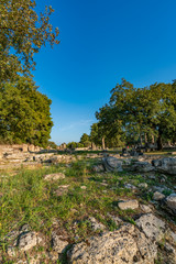 Wall Mural - Archaeological Site of Olympia