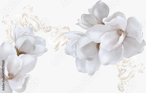 Fotomural Delicate light background with magnolias