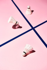 Wall Mural - High angle view of badminton shuttlecocks on pink surface with blue lines