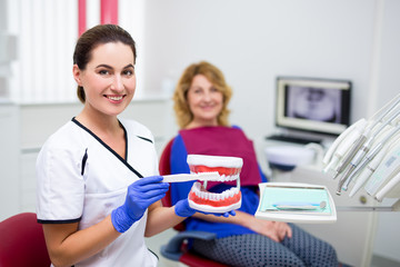 Wall Mural - attractive female dentist holding artificial jaws and showing how to brushing teeth