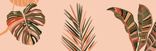 Tropical Palm Leaves In A Minimalist Trendy Style. Silhouette Of A Plant Banana, Monstera And Dypsis In A Contemporary Simple Abstract Style On Pink Background. Vector Illustration Collage.