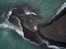 Birds And The Ocean. The Aerial Shot Was Taken In Iceland From A Drone