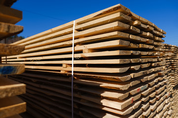 Wall Mural - Wood timber in the sawmill. Piles of wooden boards in the sawmill. 