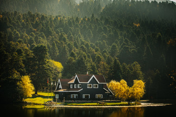 Wall Mural - Golcuk National Park Bolu Turkey. Autumn wooden Lake house inside forest in Bolu Golcuk National Park, Turkey wallpaper