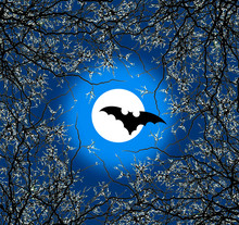 Halloween Poster Design In Blue With Moon, Bat Tree Branches