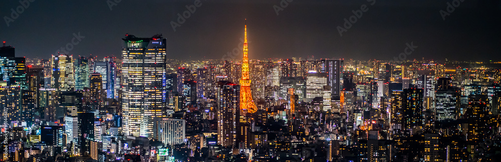 Night view of TOKYO JAPAN - obrazy, fototapety, plakaty 