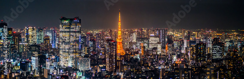 Night view of TOKYO JAPAN Poster Mural XXL