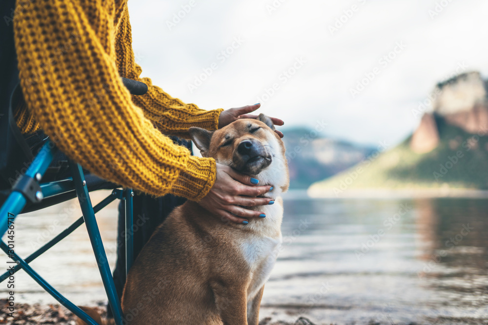 tourist friend girl together tender dog closed eyes on background mountain, female hands hugging puppy pet on lake shore nature trip, friendship love concept - obrazy, fototapety, plakaty 