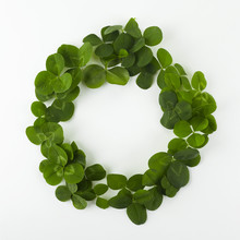 Green Clover Shamrock Leafs Wreath Border Frame On White Background. St. Patrick's Day Postcard Template.