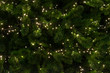 Dark Christmas tree close-up background with sparkle. Christmas night background with lights on a Christmas tree vintage toning. 