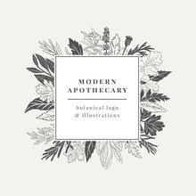 Apothecary Logo. Hand Drawn Botanical Illustration With Various Plants And Herbs.