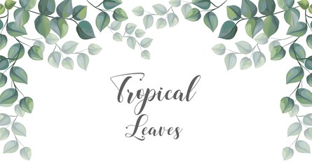 Tropical leaves on frame for texts vector illustration