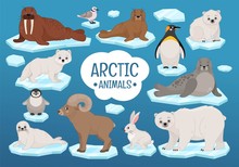 Vector Set Of Cute Arctic Animals.