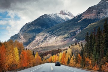 Poster - Car on road