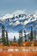 Wall Mural - Jasper National Park Canada