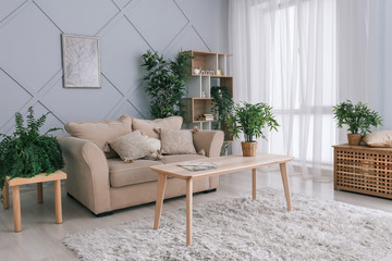 Interior of modern living room with green houseplants