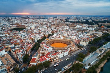 Wall Mural - Seville aerial view