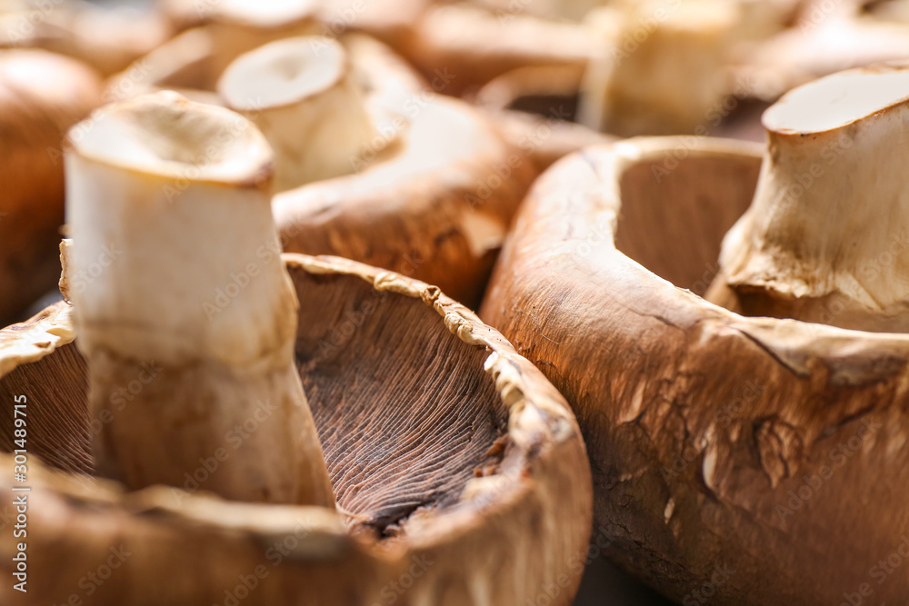 Many fresh champignon mushrooms, closeup