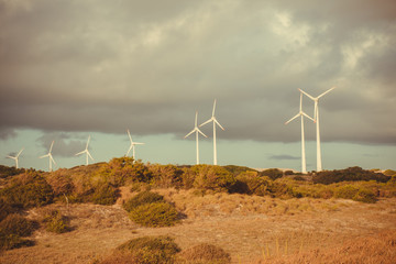 Wind farm producing clean green energy