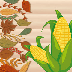 Wall Mural - sweet corn with autumn leaves