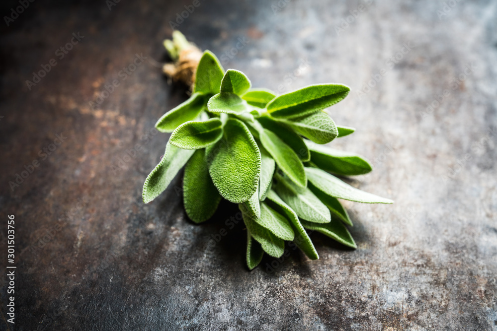 Bunch of fresh green sage leaves on the rustic background. Selective focus. - obrazy, fototapety, plakaty 