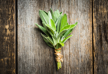 Bunch of fresh green sage leaves on the rustic background. Selective focus.