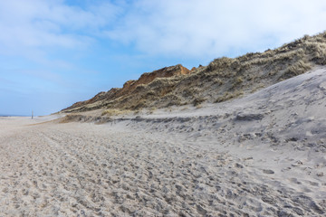 Wall Mural - Quiet North Sea beach