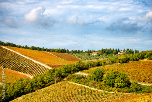 Fotomural Chianti region landscape in autumn, Tuscany, Italy