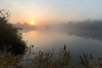 Wall Mural - beautiful landscape image of mist over river mures in transylvania, romania at sunrise