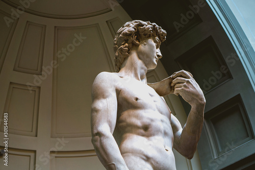 Fotomural Michelangelo's David sculpture