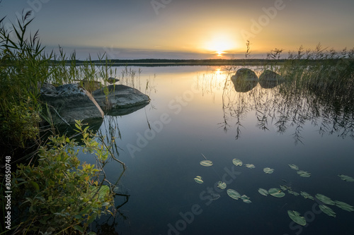 Fotografía Estonian forest swamp lake at sunset with beatiful still water