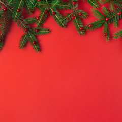 Wall Mural - Christmas / New Year composition. Fir-tree branches with red berries on red background. Flat lay, top view creative festive concept.