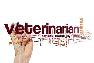 Wall Mural - Veterinarian word cloud